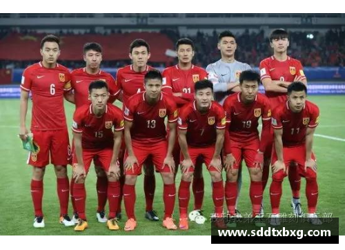 WE真人欧洲杯国足登顶热搜！各国球队大巴你了解多少？ - 副本