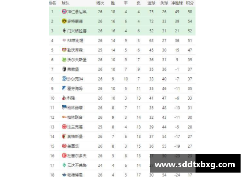 WE真人德甲最新积分榜：勒沃库森4_0领跑，拜仁2_1紧随其后，斯图加特表现亮眼 - 副本